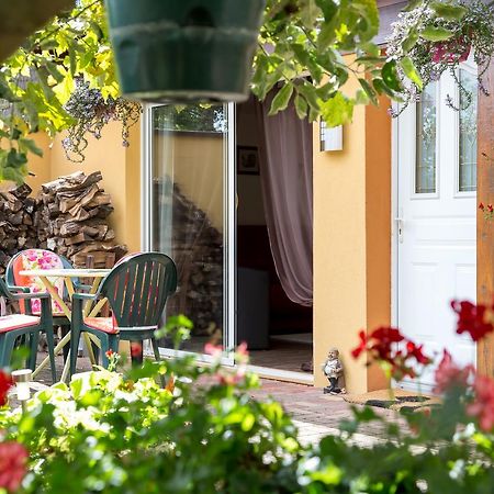 Gites De Charme Chez Christine Ottrott Εξωτερικό φωτογραφία